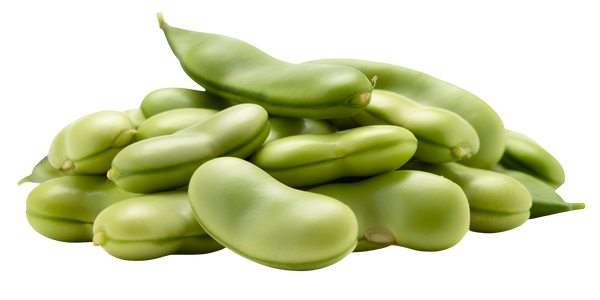 Peptistrong® Peptides