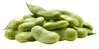 Peptistrong® Peptides